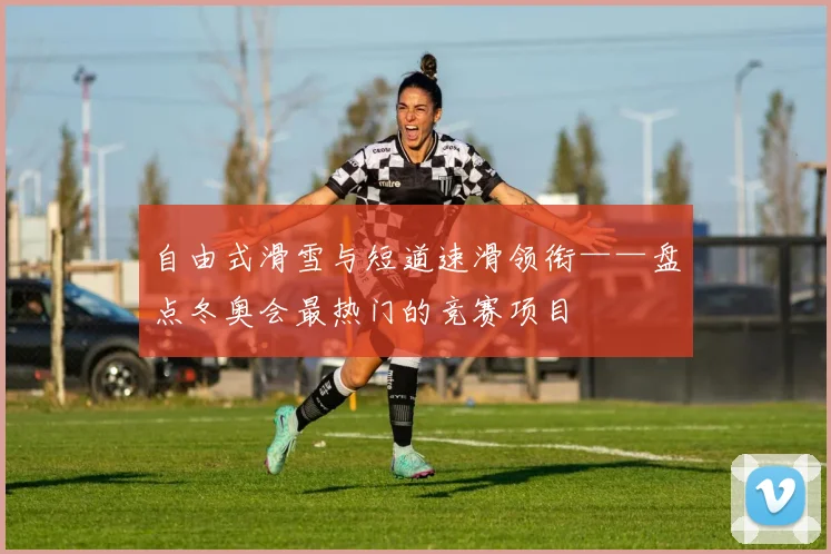 自由式滑雪与短道速滑领衔——盘点冬奥会最热门的竞赛项目